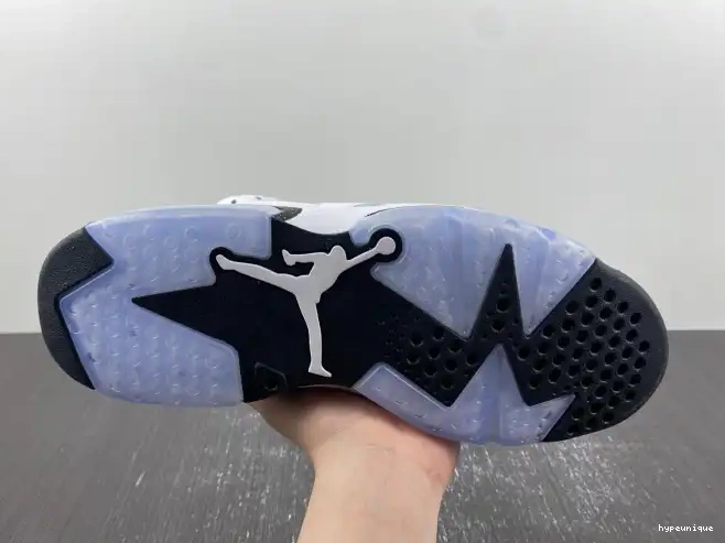 HYPE Reverse CT8529-112 Oreo Air Jordan 6 0501